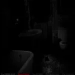 The House – Bathroom