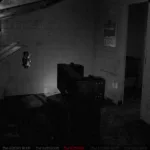 The House – Kitchen